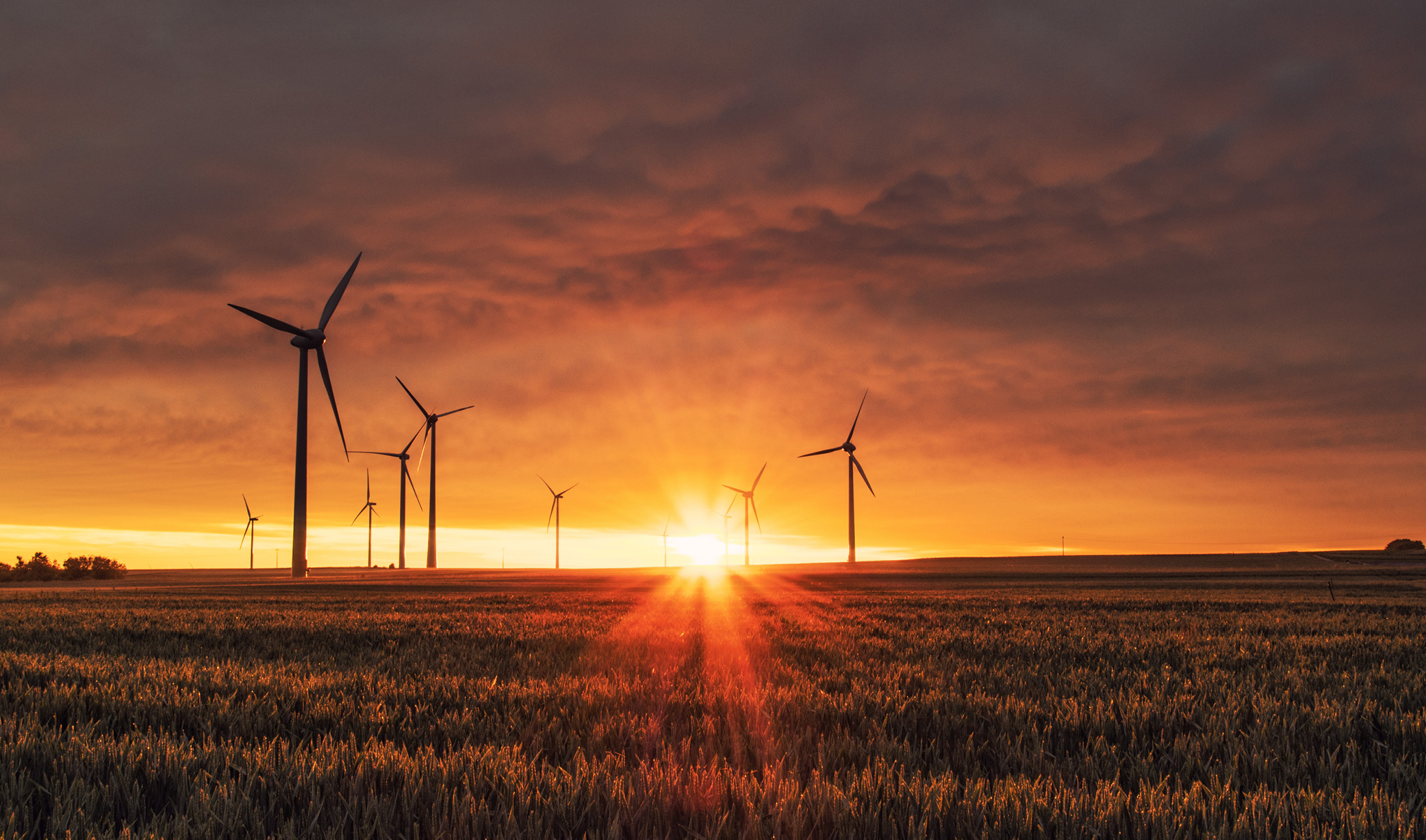 Buyer beware: Transacting ESG risks and rewards