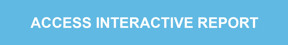 Access interactive report