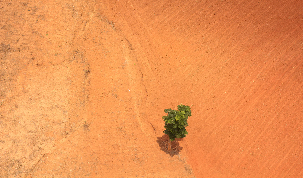 The effects of climate change on South Africa’s insurance industry