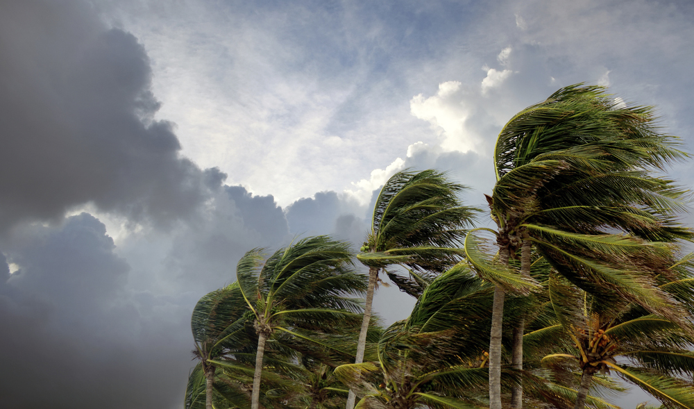 Review your insurance covers to make sure you are covered for severe weather